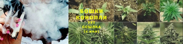 гидра Верея
