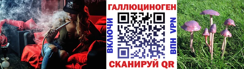 Галлюциногенные грибы Psilocybe Южно-Сахалинск
